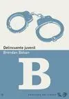 Delincuente Juvenil