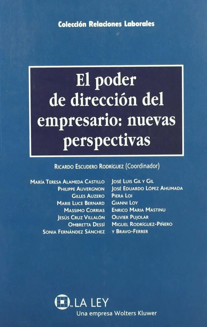 El Poder de Dirección del Empresario. Nuevas Perspectivas