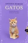 Gatos