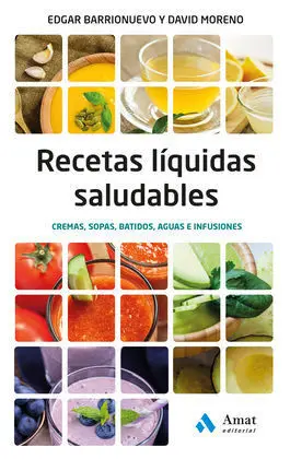 Recetas Liquidas Saludables