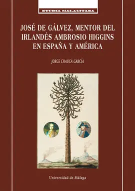 José de Gálvez, Mentor del Irlandés Ambrosio Higgins en España y América