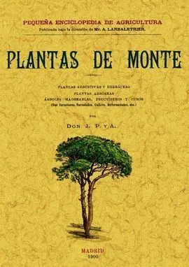 Plantas de Monte