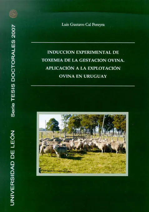 Introducción Experimental de Toxemia de la Gestación Ovina