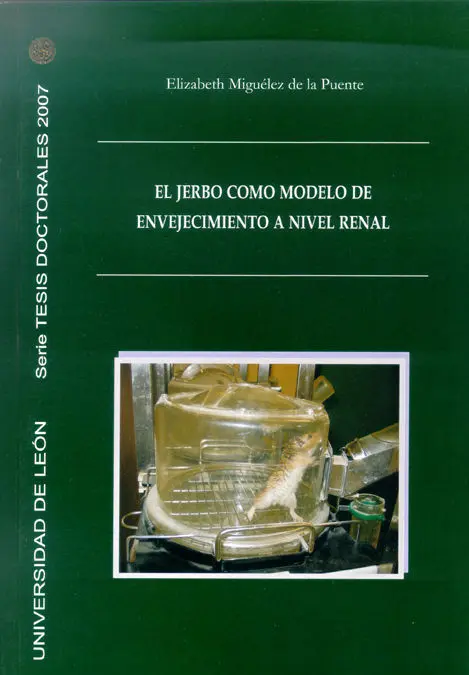 El Jerbo Como Modelo de Envejecimiento a Nivel Renal