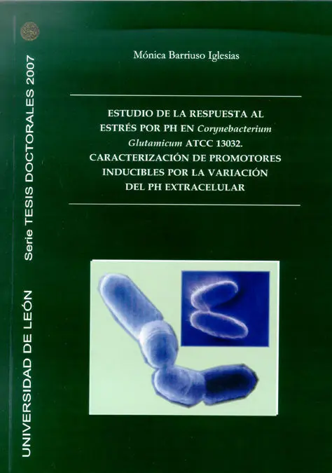 Estudio de la Respuesta Al Estrés por Ph en Corynebacterium Glutamicum Atcc