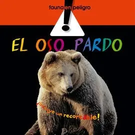Oso Pardo