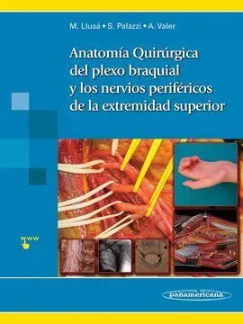 Anatomía Quirúrgica del Plexo Braquial y Nervios Periféricos de la Extremidad Su
