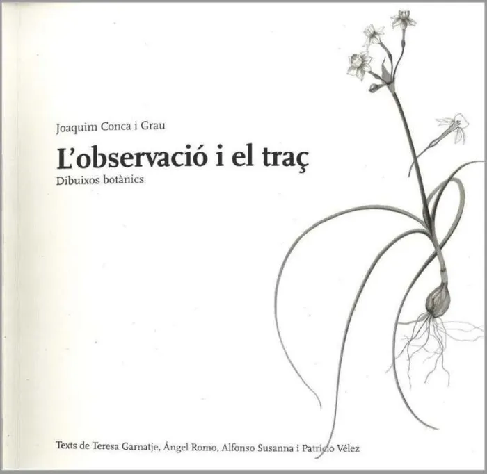 L Observació I el Traç