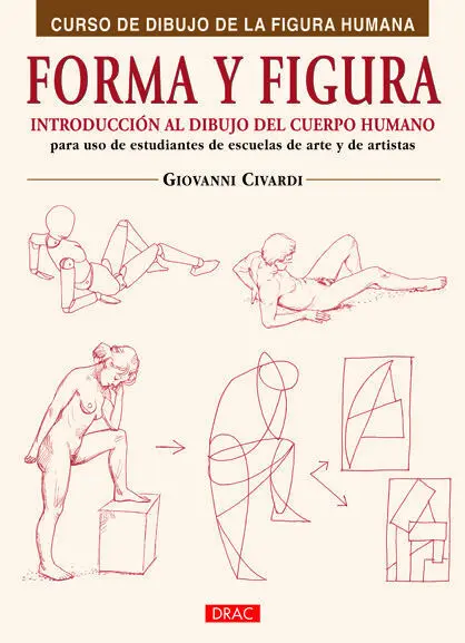 Forma y Figura