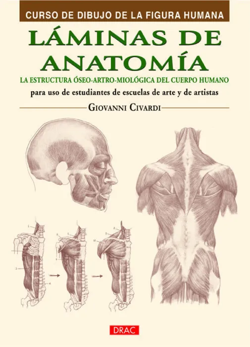 Láminas de Anatomía