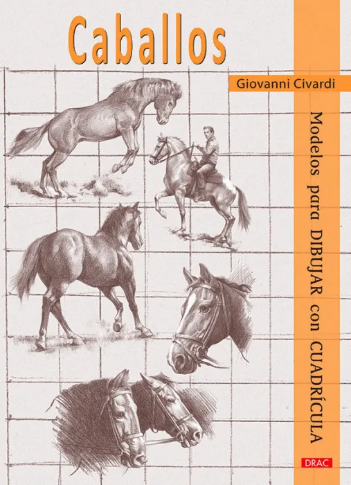 Caballos. Modelos para Dibujar con Cuadrícula