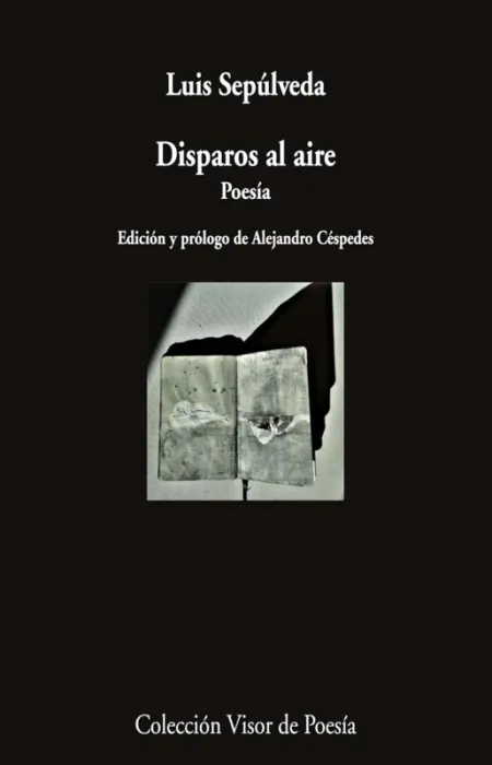 Disparos Al Aire