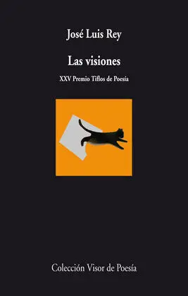 Visiones