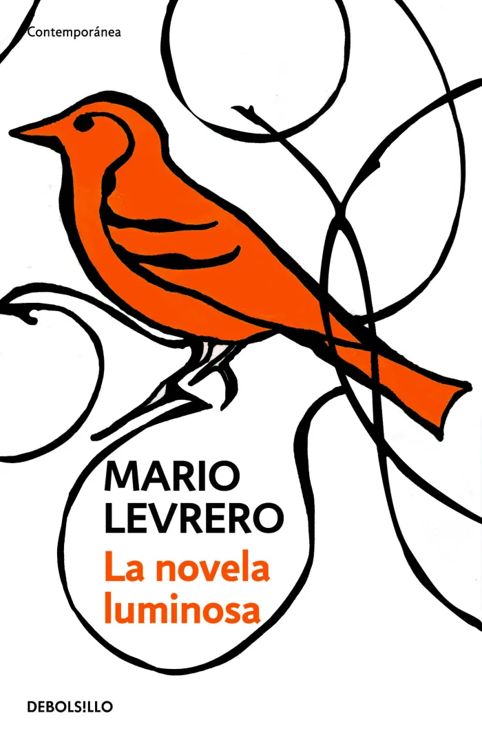 La Novela Luminosa