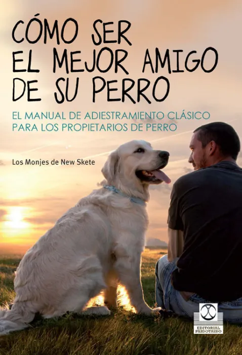 Cómo Ser el Mejor Amigo de Su Perro