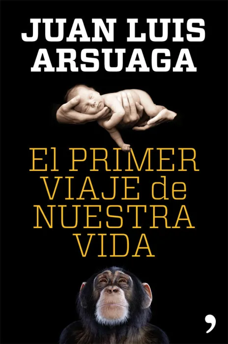 El Primer Viaje de nuestra Vida