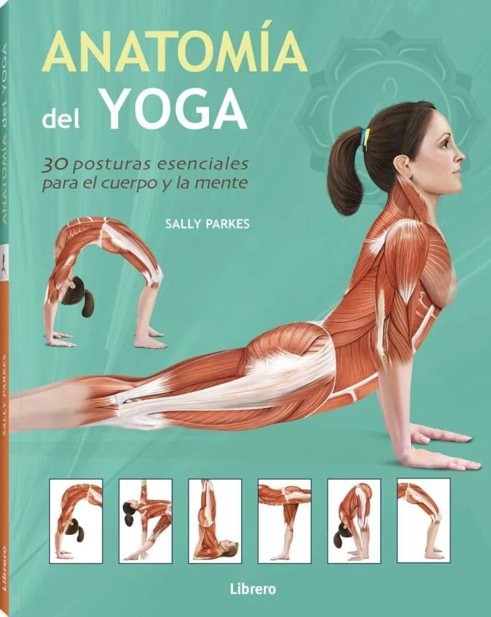 Anatom¡A del Yoga