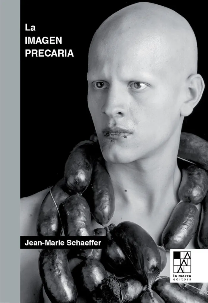 La Imagen Precaria