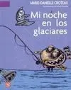 Mi Noche en los Glaciares