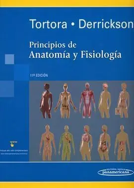 Principios de Anatomía y Fisiología