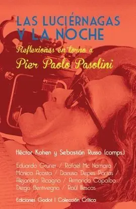 Las Luciernagas y la Noche