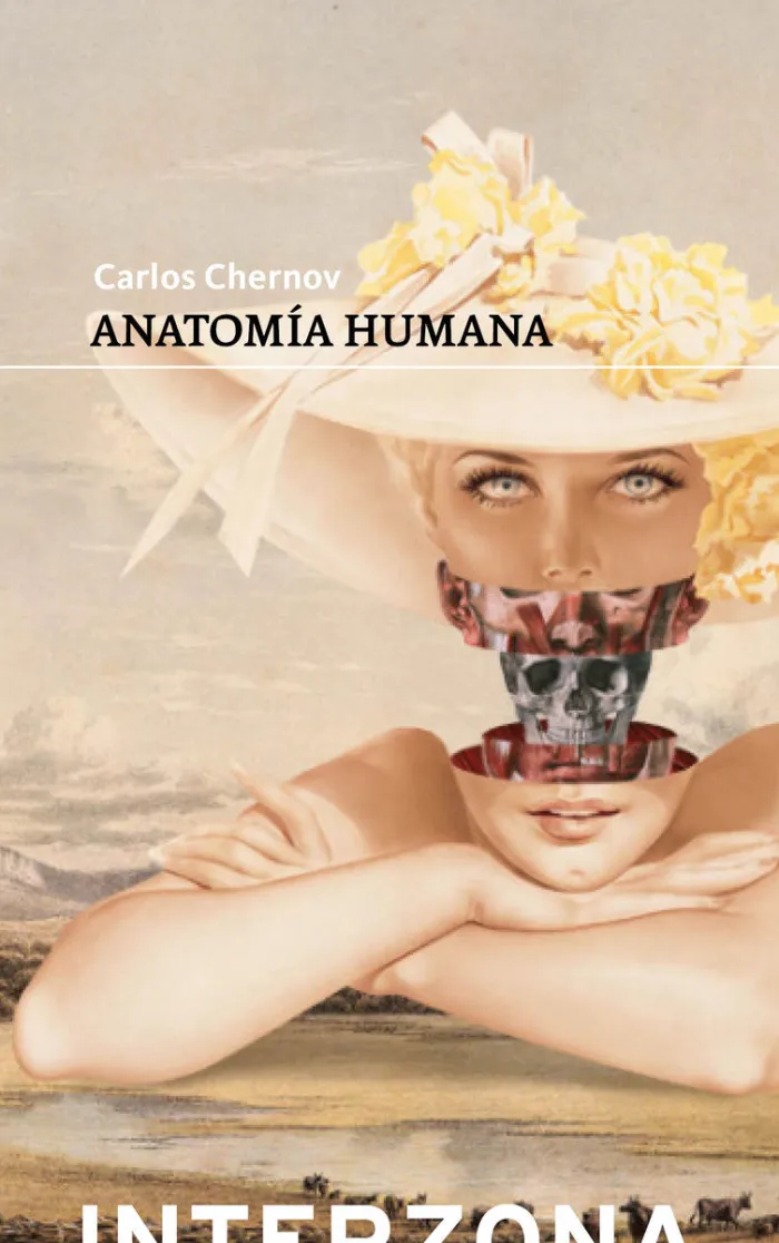 Anatomia Humana