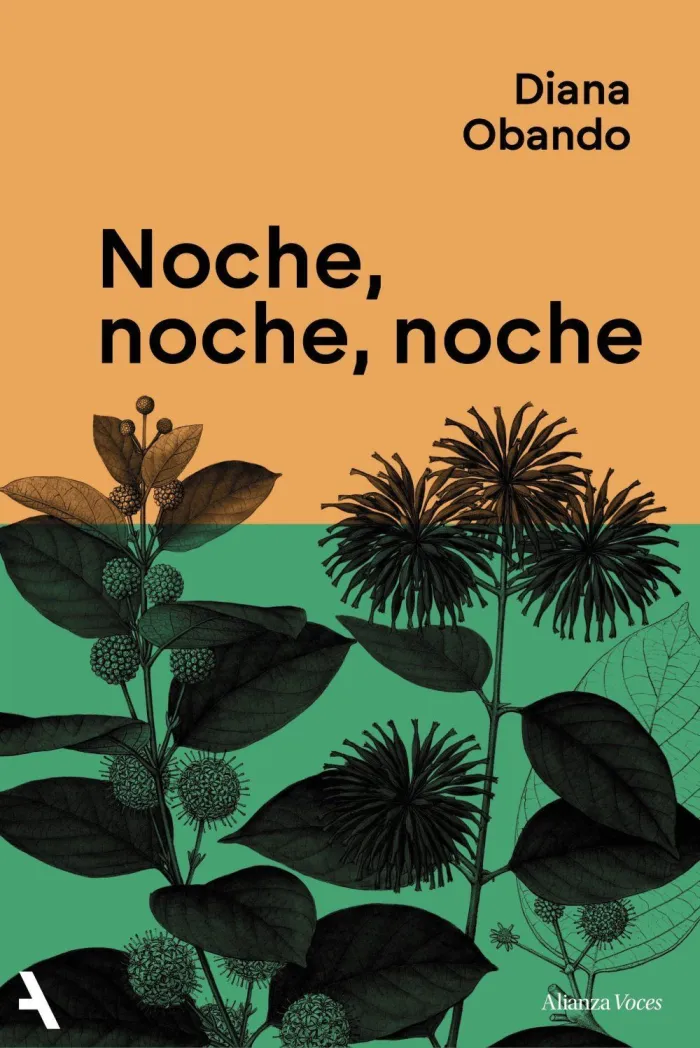 Noche, Noche, Noche