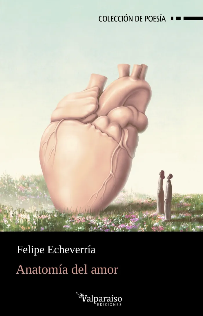 Anatomía del Amor