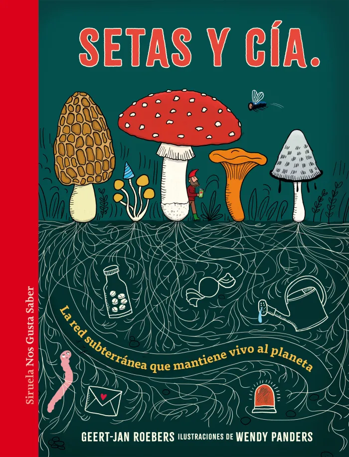 Setas y Cía.