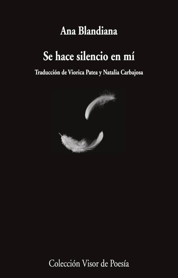 Se Hace Silencio en mí