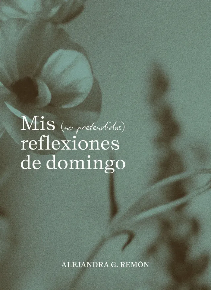 Mis (No Pretendidas) Reflexiones de Domingo