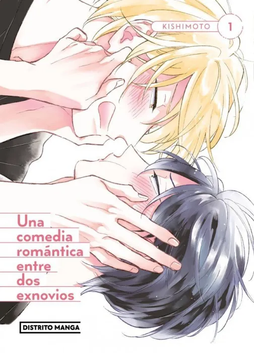 Una Comedia Romántica entre Dos Exnovios (Bl)