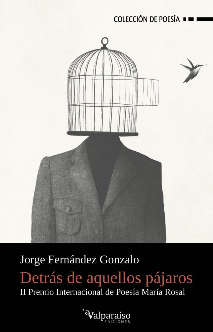 Detrás de aquellos Pájaros